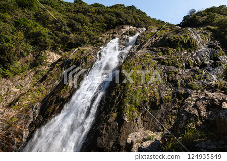 Okawa Falls, one of Japan's top 100 waterfalls, Yakushima National Park (Autumn) 124935849