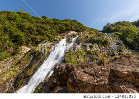 Okawa Falls, one of Japan's top 100 waterfalls, Yakushima National Park (Autumn) 124935850