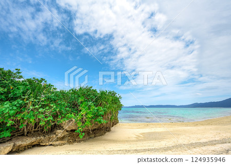 Enjoy the world of corals and rocks at low tide in Tabaga, Ishigaki Island, Okinawa Enjoy the world of corals and rocks at low tide in Tabaga, Ishigaki Island, Okinawa 124935946