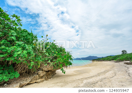 Enjoy the world of corals and rocks at low tide in Tabaga, Ishigaki Island, Okinawa Enjoy the world of corals and rocks at low tide in Tabaga, Ishigaki Island, Okinawa 124935947
