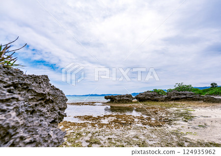 退潮時出現的石垣島塔巴加爾的奇異岩層和清澈的海水 124935962