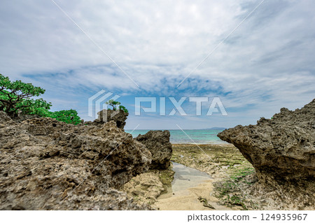 The fantastic rock formations and clear sea of Tabagar, Ishigaki Island, that appear at low tide The fantastic rock formations and clear sea of Tabagar, Ishigaki Island, that appear at low tide 124935967