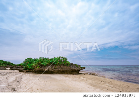 The fantastic rock formations and clear sea of Tabagar, Ishigaki Island, that appear at low tide 124935975