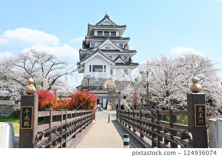 View of Sunomata Ichiya Castle from the west side of Sennari Bridge View of Sunomata Ichiya Castle from the west side of Sennari Bridge 124936074