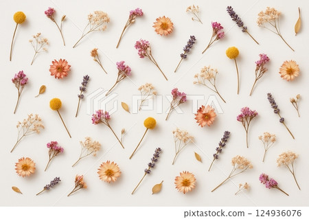Dried flowers flat lay background 124936076