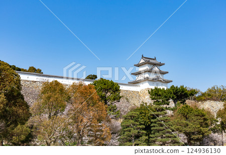 Akashi Castle, Akashi City, Hyogo Prefecture, where the cherry blossoms are in full bloom 124936130
