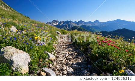 scenic mountain trail surrounded by vibrant wildflowers and rocky paths 124936312