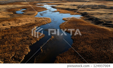 Aerial view of winding river through golden grasslands and wetlands 124937004