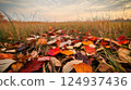 Colorful autumn leaves scattered on grassy field under cloudy sky 124937436