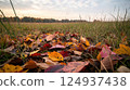 Colorful autumn leaves scattered on grass in serene landscape 124937438