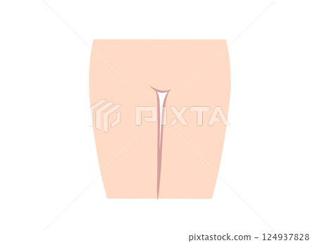 從正面看女性下半身的插圖 從正面看女性下半身的插圖 124937828