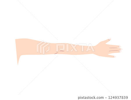 伸出的手臂（手背）的部位圖 124937839