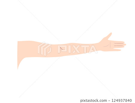 Parts illustration of an outstretched arm (palm) Parts illustration of an outstretched arm (palm) 124937840