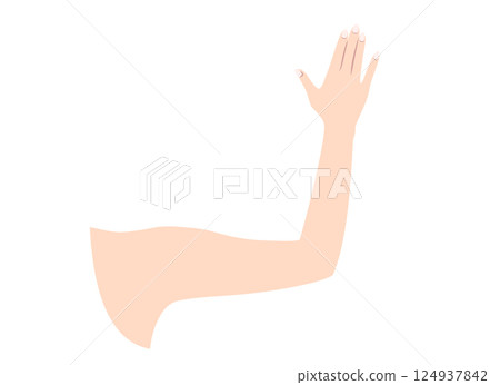 Illustration of a woman's arm (back of the hand) Illustration of a woman's arm (back of the hand) 124937842