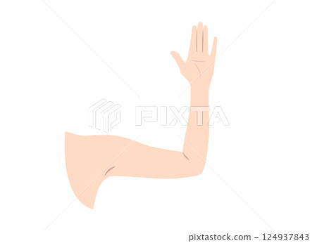 女性手臂(手掌)部位圖解 女性手臂(手掌)部位圖解 124937843