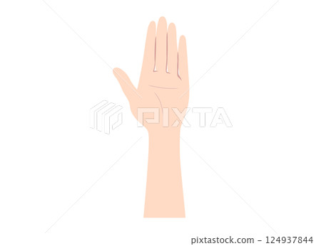 Illustration of female palm parts 124937844