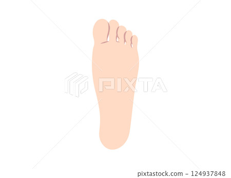 Illustration of sole parts of the foot Illustration of sole parts of the foot 124937848