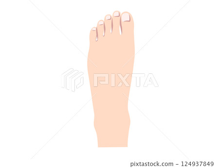 腳背部位圖解 腳背部位圖解 124937849