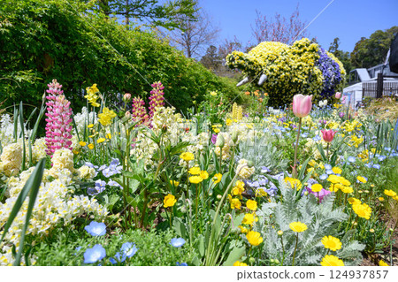 2025年4月橫濱里山花園的花朵 124937857