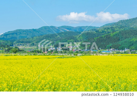 Iiyama City Tokiwa Rapeseed Flower Field Iiyama City Tokiwa Rapeseed Flower Field 124938010