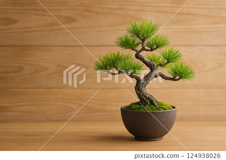 黑松盆景和木材背景 黑松盆景和木材背景 124938026