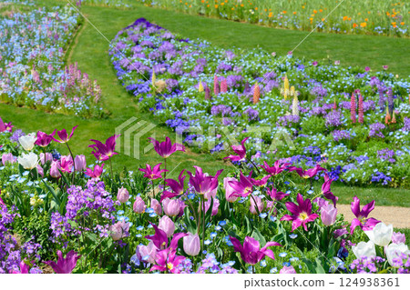 2025年4月橫濱里山花園的花朵 124938361