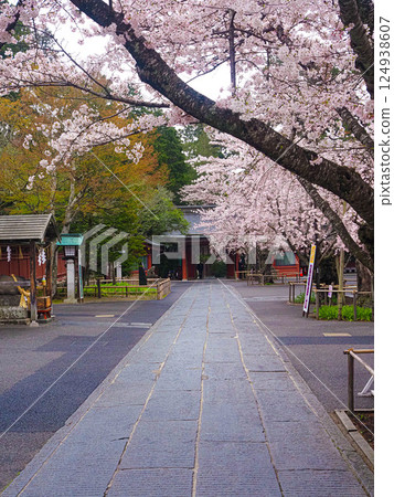 前往鹽釜神社的參拜道路 124938607