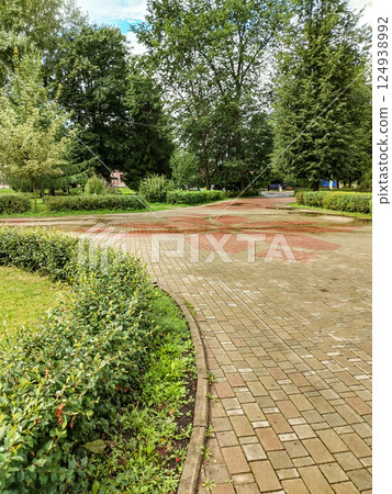 Semi-circular trimmed shrub in landscaping along lawn and tile sidewalk, summer park, vertical shot 124938992