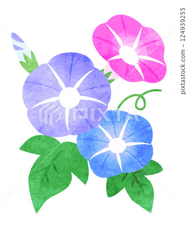 手繪水彩風格牽牛花花卉插圖 124939255