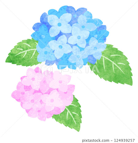 Hand-drawn watercolor hydrangea flower illustration 124939257