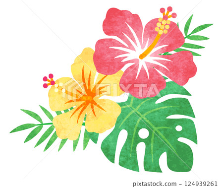 手繪水彩芙蓉花插圖 手繪水彩芙蓉花插圖 124939261