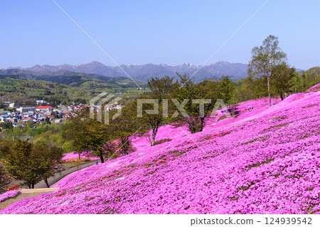 北海道瀧上町 - 日本最大的芝櫻群落，帶你走進芝櫻瀧上公園的夢幻世界 [5月] 124939542
