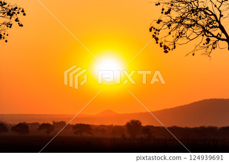 Beautiful african sunset over savannah in Tanzania 124939691