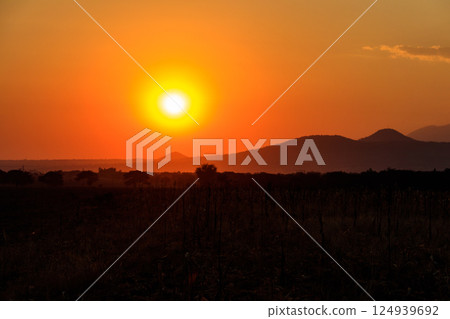 Beautiful african sunset over savannah in Tanzania 124939692