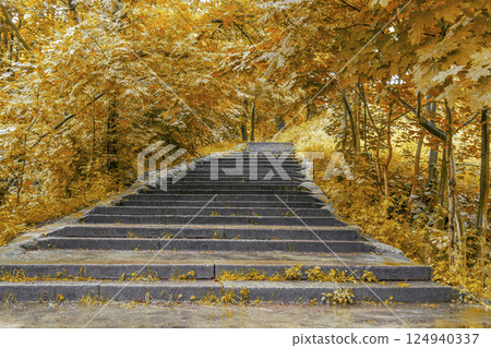 Park alley in autumn Park alley in autumn 124940337