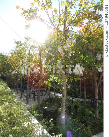 開放式露台咖啡廳 開放式露台咖啡廳 124940581