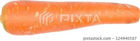 carrot. carrot. 124940587