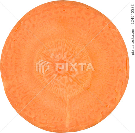 carrot. carrot. 124940588