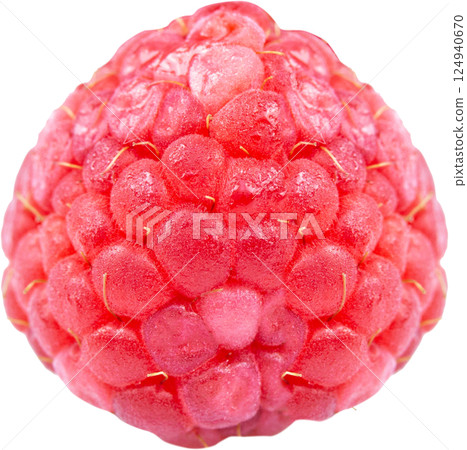 Raspberry Raspberry 124940670