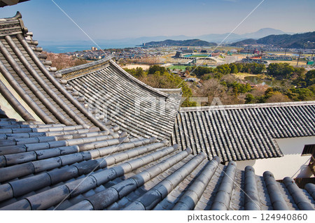 彥根城的櫻花 124940860