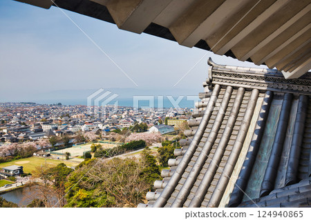 Sakura at Hikone Castle 124940865