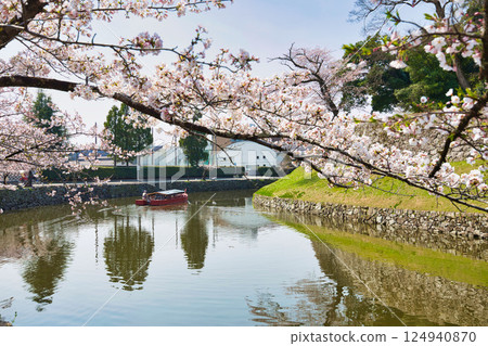 Sakura at Hikone Castle Sakura at Hikone Castle 124940870