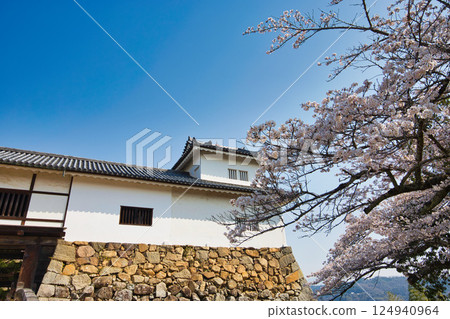 Sakura at Hikone Castle 124940964