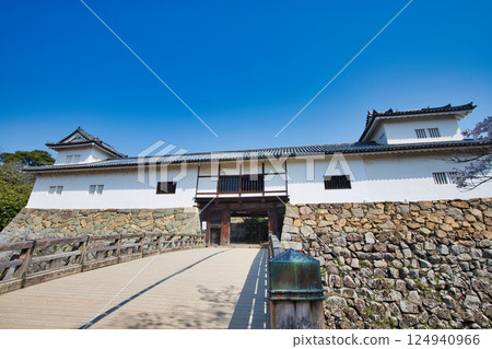 Sakura at Hikone Castle 124940966
