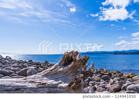 [Tokushima] The coast and blue sea of Tebajima 124941050