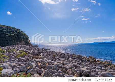 [Tokushima] The coast and blue sea of Tebajima 124941056