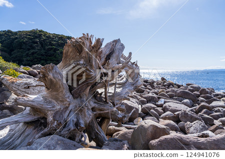 [Tokushima] Tebajima coast 124941076
