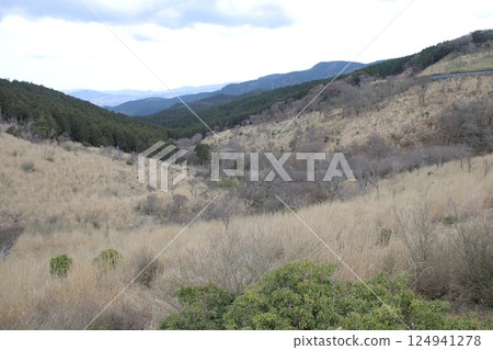 scenery scenery 124941278