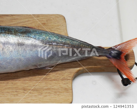 Red horse mackerel tail Red horse mackerel tail 124941353