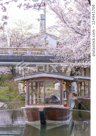 京都:伏見十石船和盛開的櫻花 京都:伏見十石船和盛開的櫻花 124941706
